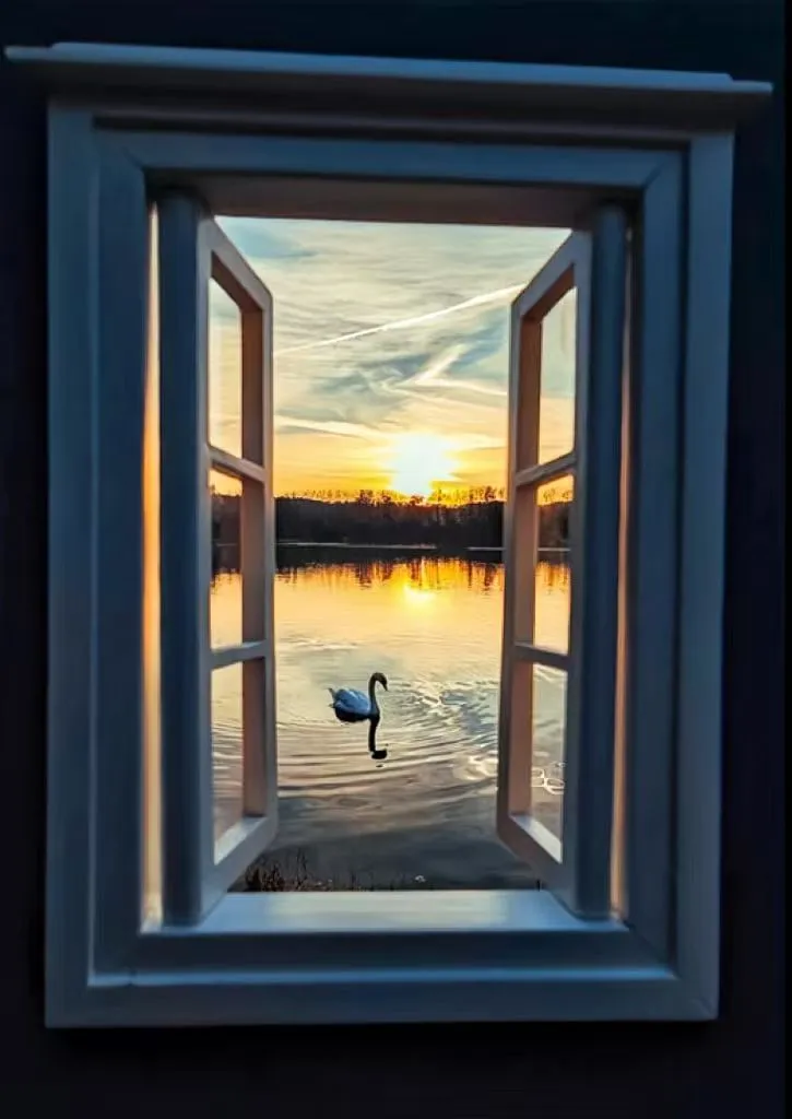 πΌοΈCreative Window Propsπ· - Image 7