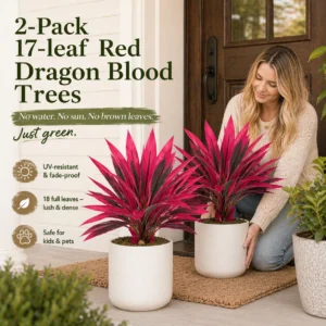 2‑Pack 21.6" Artificial Cordyline Plant