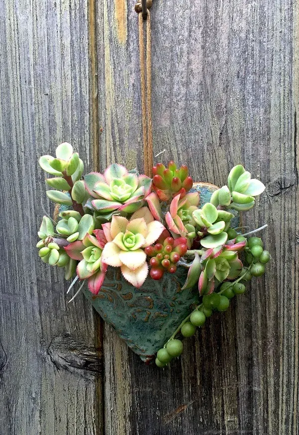 🌿Heart Shaped Succulent Wall Planter - Image 4
