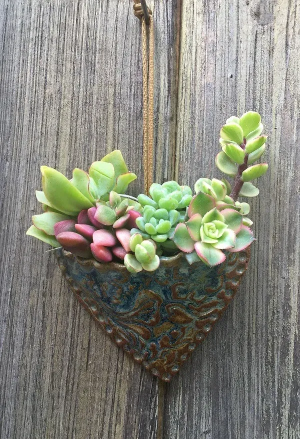 🌿Heart Shaped Succulent Wall Planter - Image 5