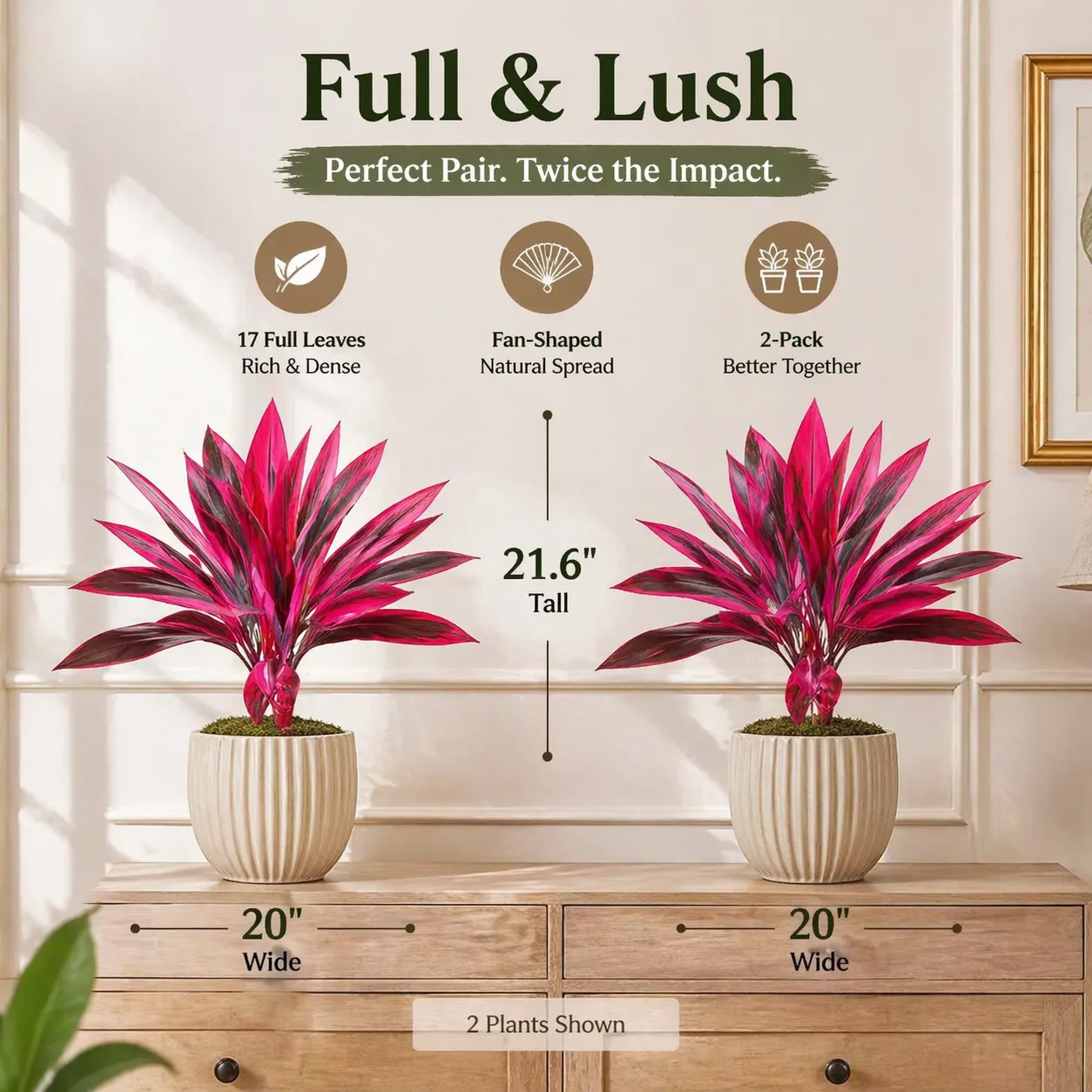 2‑Pack 21.6" Artificial Cordyline Plant - Image 4