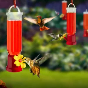 New Leak-Proof Hummingbird Feeder