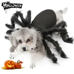 Spooky Spider Pet Costume