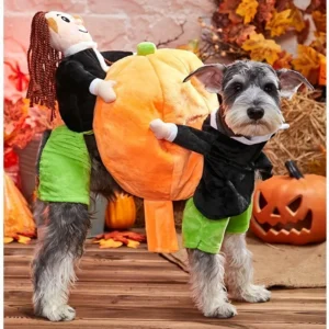 Dog & Cat Costume