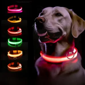 LED light dog collar🐶