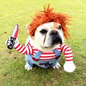 Deadly Doll Costume 👍