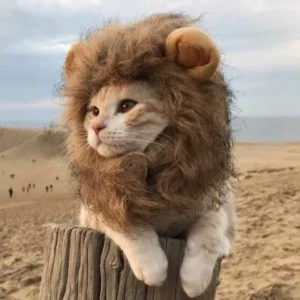 Pet simulation lion mane