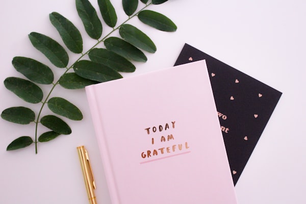 Sewing, Craft & DIY Tools