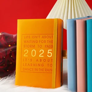 🗓️2025 One Day One Page Daily Planner