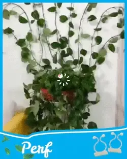 Invisible Wall Vines Fixture - Buy Online 75% Off - Wizzgoo Store