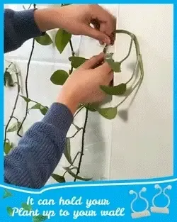 Invisible Wall Vines Fixture - Buy Online 75% Off - Wizzgoo Store
