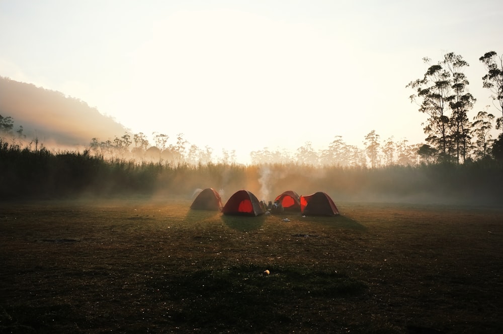 True Endless Progress Wilderness Exploration