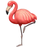 Flamingo on WhatsApp 2.22.8.79
