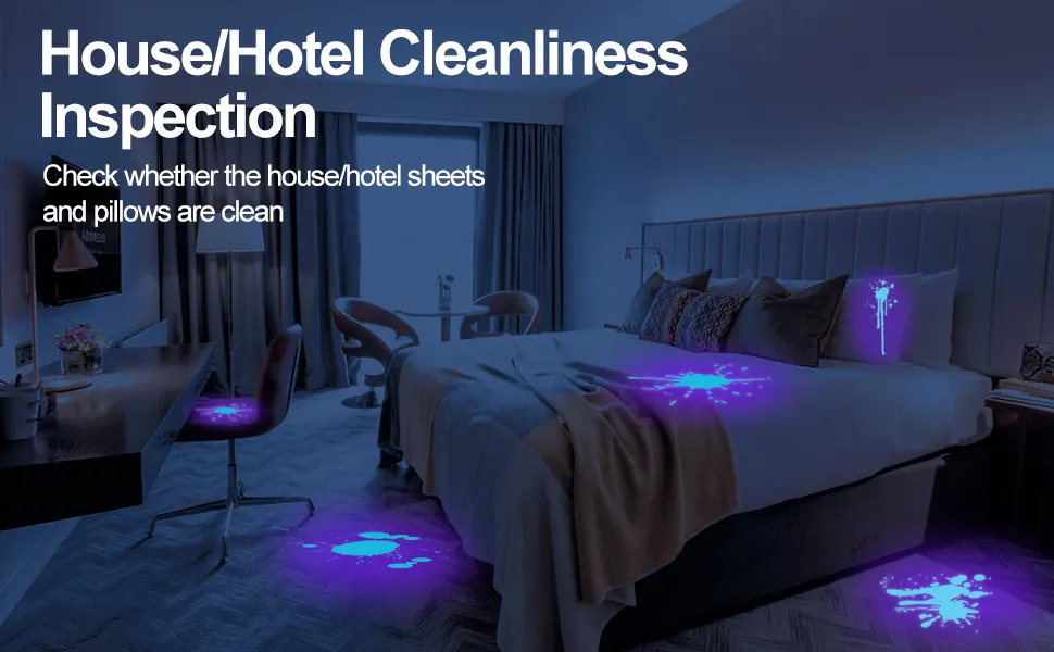 house hotel cleanliness inspection