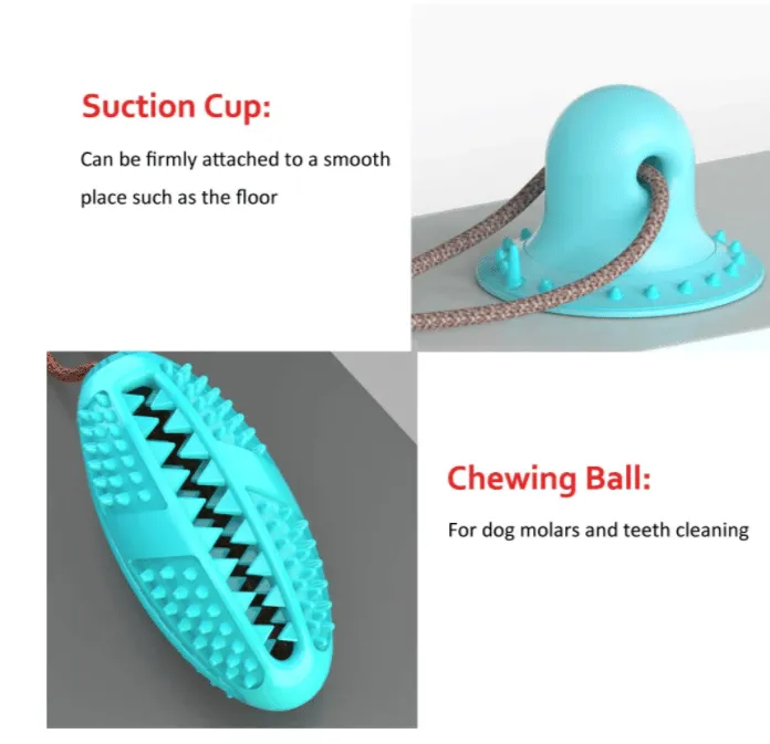 ❤️ Dog Chew Toy Suction Cup Teeth Cleaner - Image 6