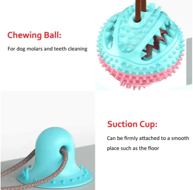 ❤️ Dog Chew Toy Suction Cup Teeth Cleaner - Image 7