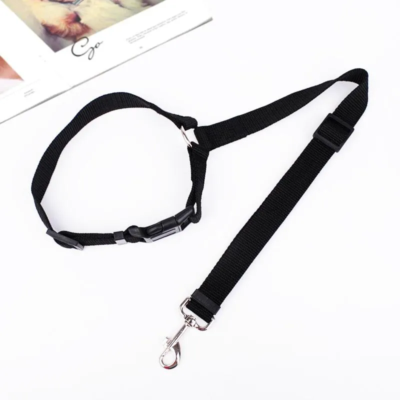 Adjustable Car Dog Leash - Image 14