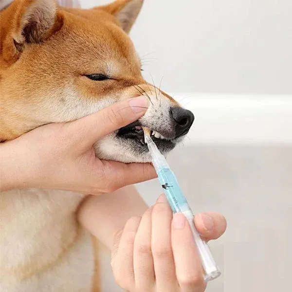 Natural Plant Substance - Pet Teeth Repairing Kit - Image 6