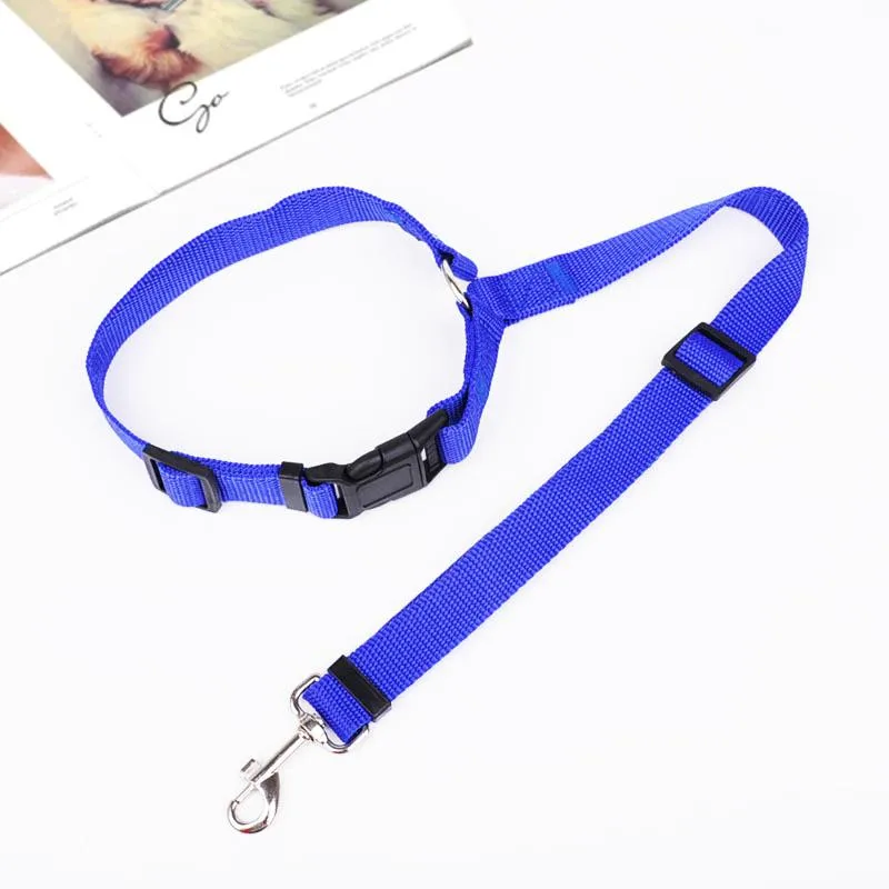 Adjustable Car Dog Leash - Image 15