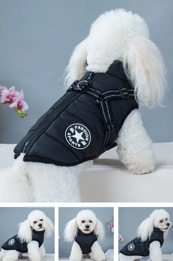 🎅Waterproof Winter Dog Jacket with Built-in Harness - Image 12