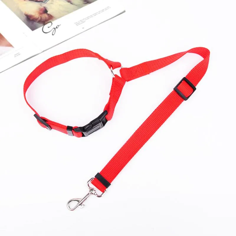 Adjustable Car Dog Leash - Image 16