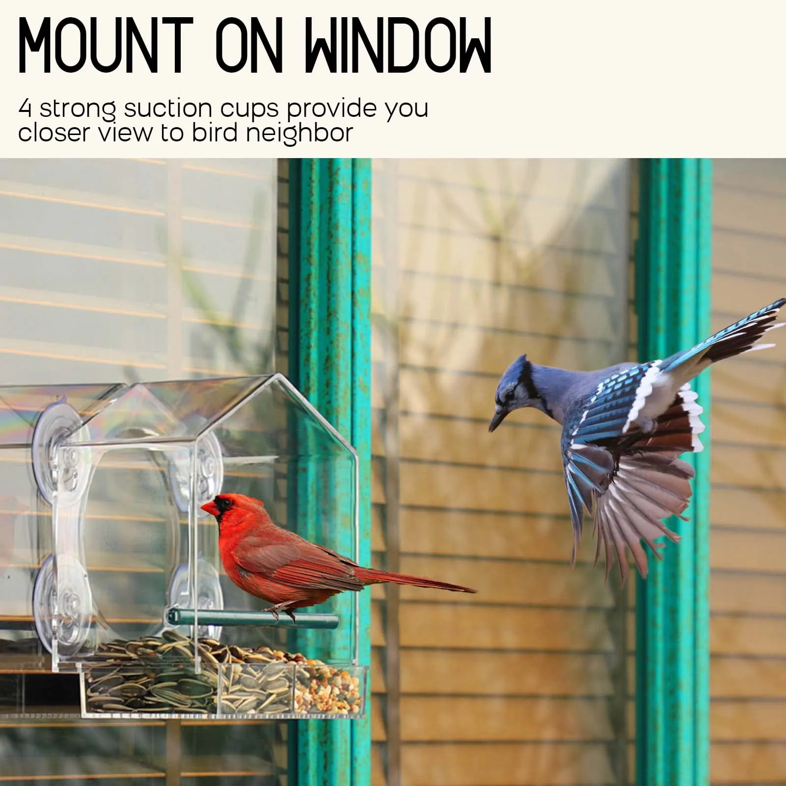 🔥Mother's Day Hot Sale- Window Bird Feeder for Outside - Image 2