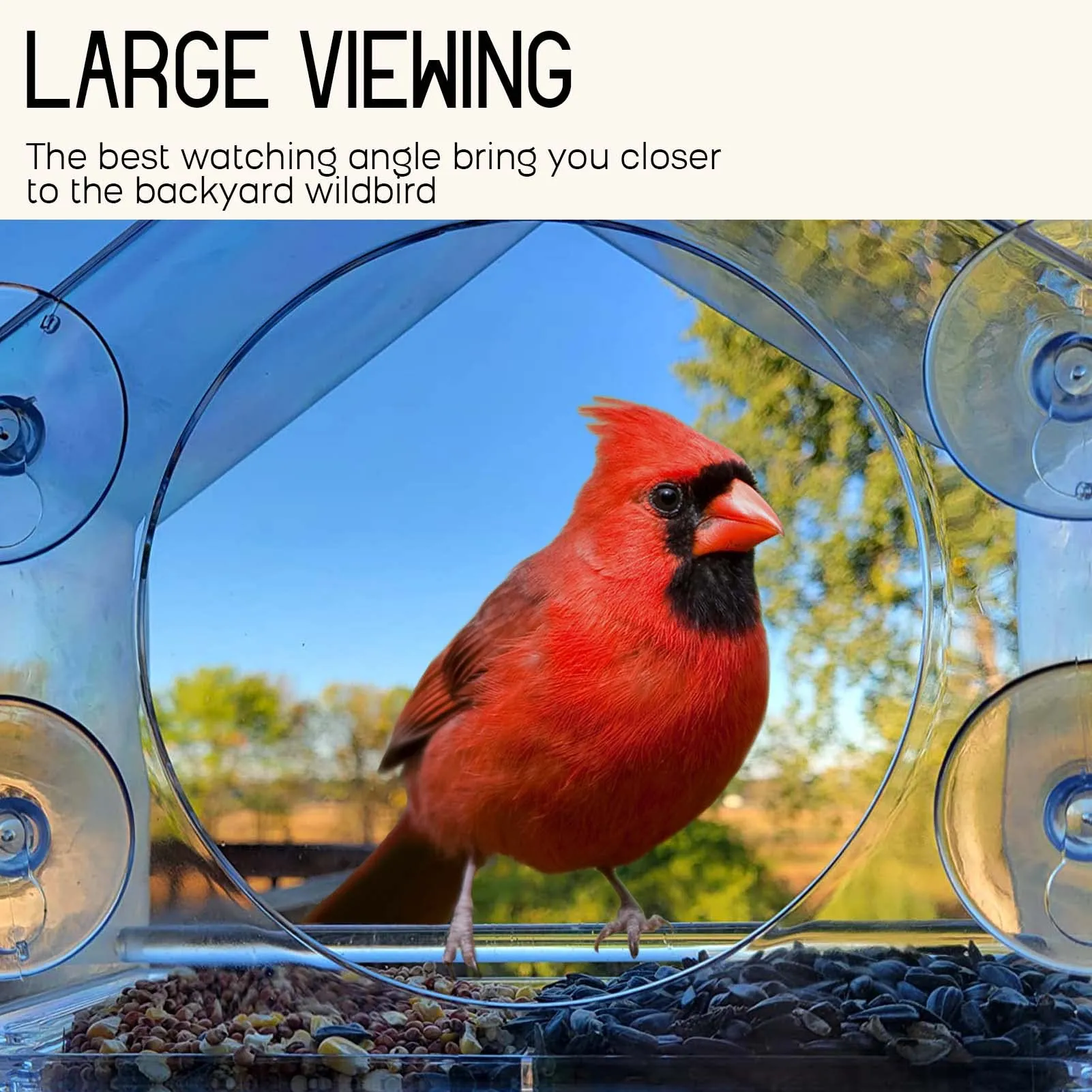 🔥Mother's Day Hot Sale- Window Bird Feeder for Outside - Image 3