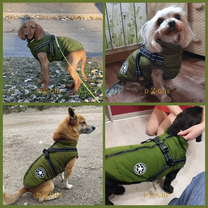 🎅Waterproof Winter Dog Jacket with Built-in Harness - Image 9
