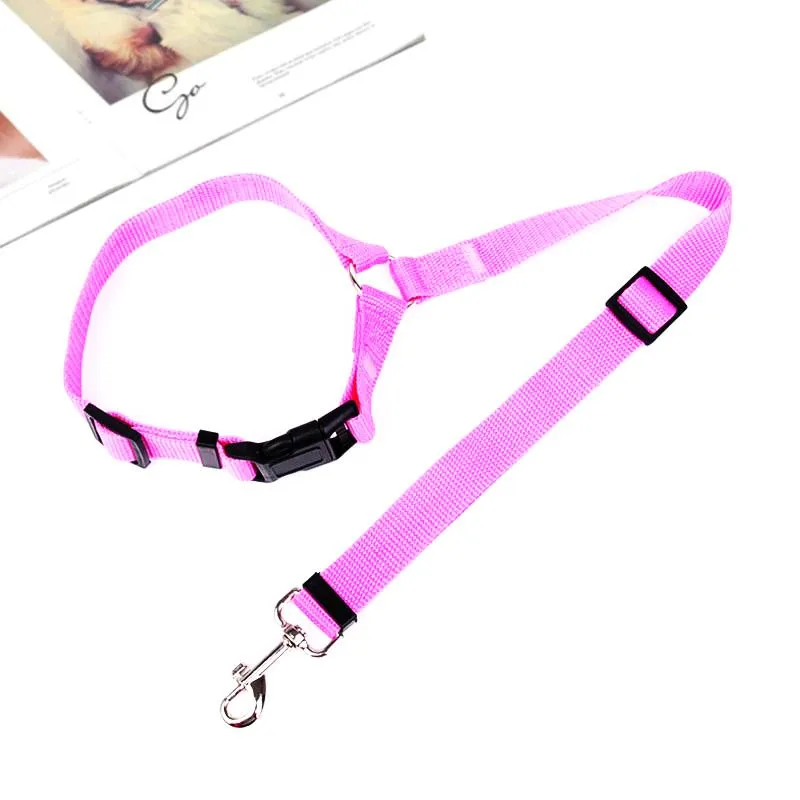 Adjustable Car Dog Leash - Image 13