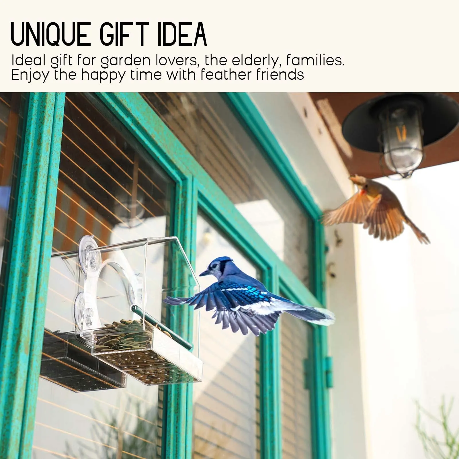 🔥Mother's Day Hot Sale- Window Bird Feeder for Outside - Image 4