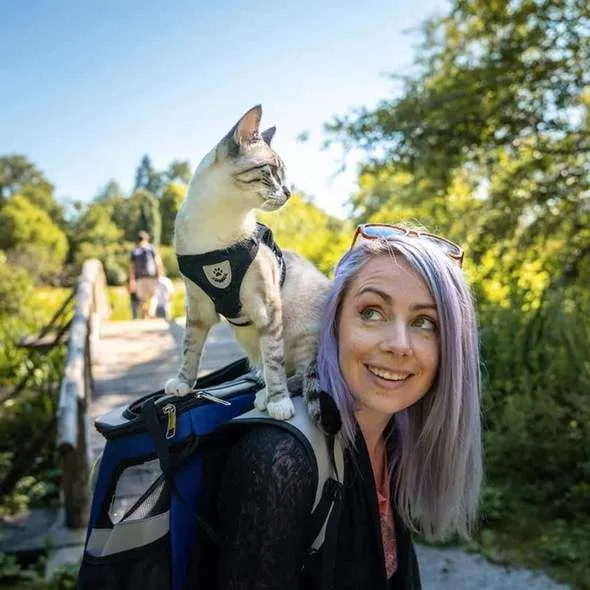 Adjustable Breathable Luminous Purrfect Feline Freedom Harness - Image 4