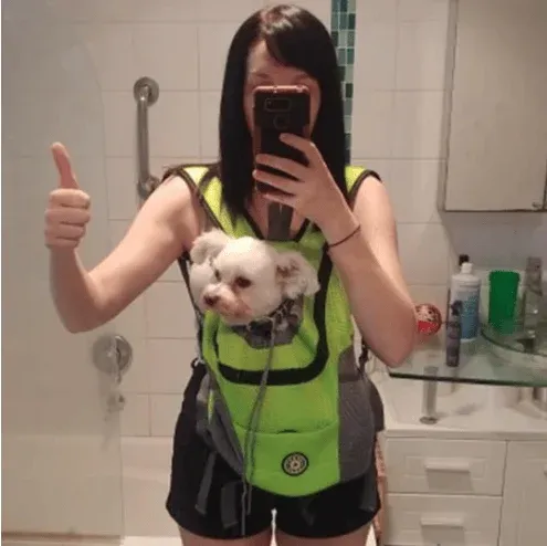 🔥2024 Summer Dog Backpack🐶 - Image 3