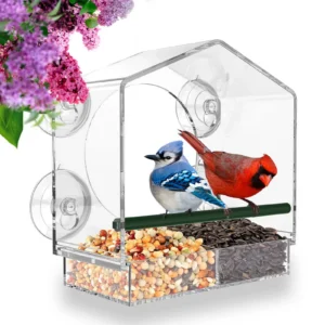 🔥Mother's Day Hot Sale- Window Bird Feeder for Outside