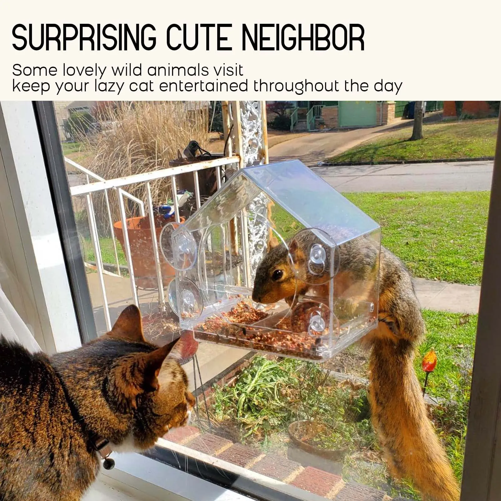 🔥Mother's Day Hot Sale- Window Bird Feeder for Outside - Image 5
