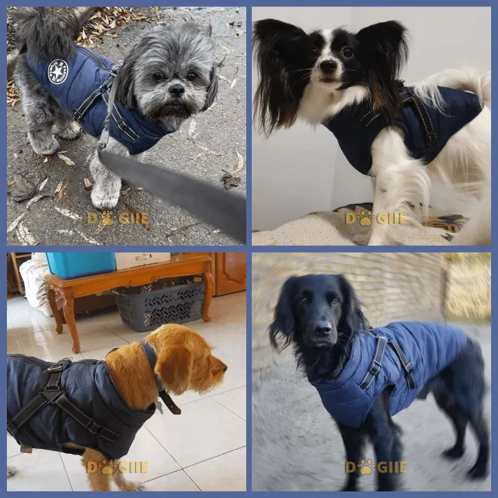 🎅Waterproof Winter Dog Jacket with Built-in Harness - Image 8