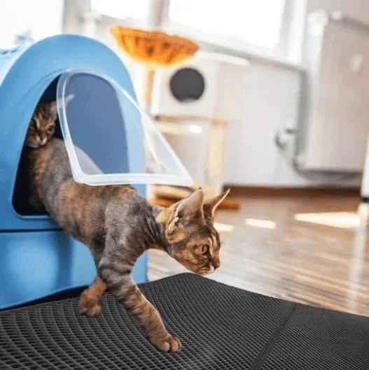 Non-Slip Cat Litter Mat - Image 7